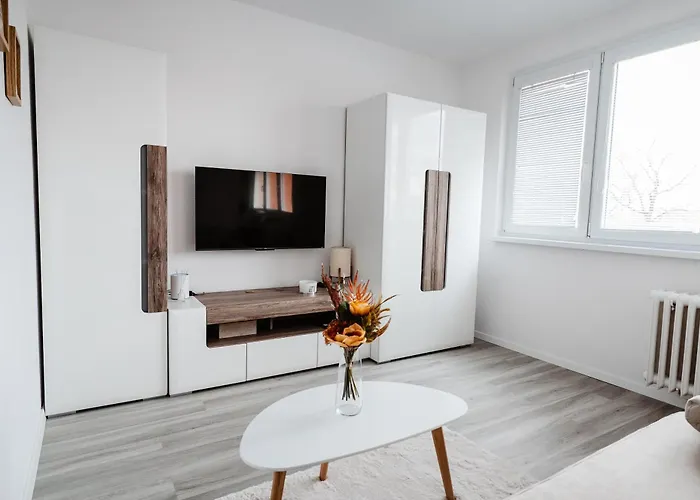 Nova Nemocnica 10min. Peso Do Centra アパート *